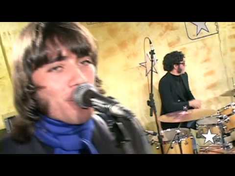 Sinto - Reino Fungi