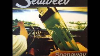 Seaweed - Spanaway (Full Album)