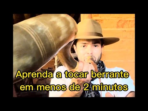 APRENDA A TOCAR BERRANTE EM MENOS DE 2 MINUTOS