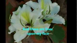 Beautiful in my Eyes by Joshua Kadison ( Lyrics )