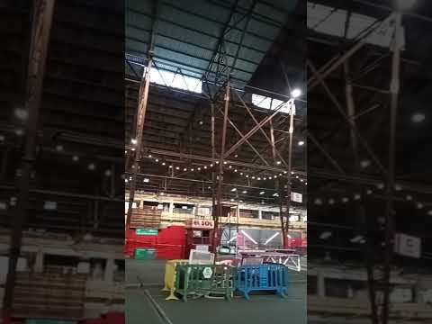 🍓🫑🚚 Viejo Mercado Modelo 1️⃣1️⃣