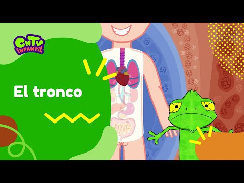 El tronco | Camaleón y las naturales ciencias 3° temporada