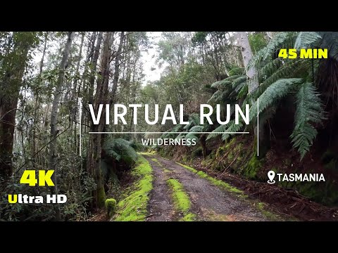 Virtual Run Wilderness Trail 4K - Virtual Running Treadmill Workout - Virtual Scenery - Tasmania