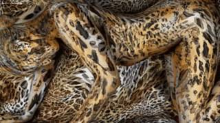 LP Cling To Me ( con traduzione ita)