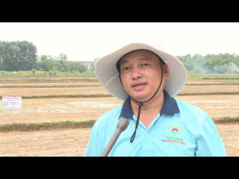 Quản lý cỏ dại bằng thuốc cỏ "Cặp Đôi Yutaka Nhật Bản" (Propatox 360EC + Newyorfit USA 370EC)