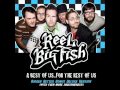 Reel Big Fish - My Imaginary Friend (Skacoustic)