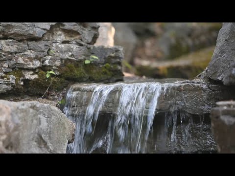 Música para Meditar e Relaxar com Sons de Riacho e Natureza - Acalmar os Pensamentos