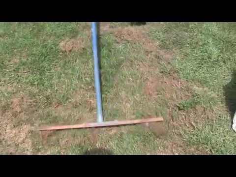 How to repair bare spots on your lawn and properly reseed this fall