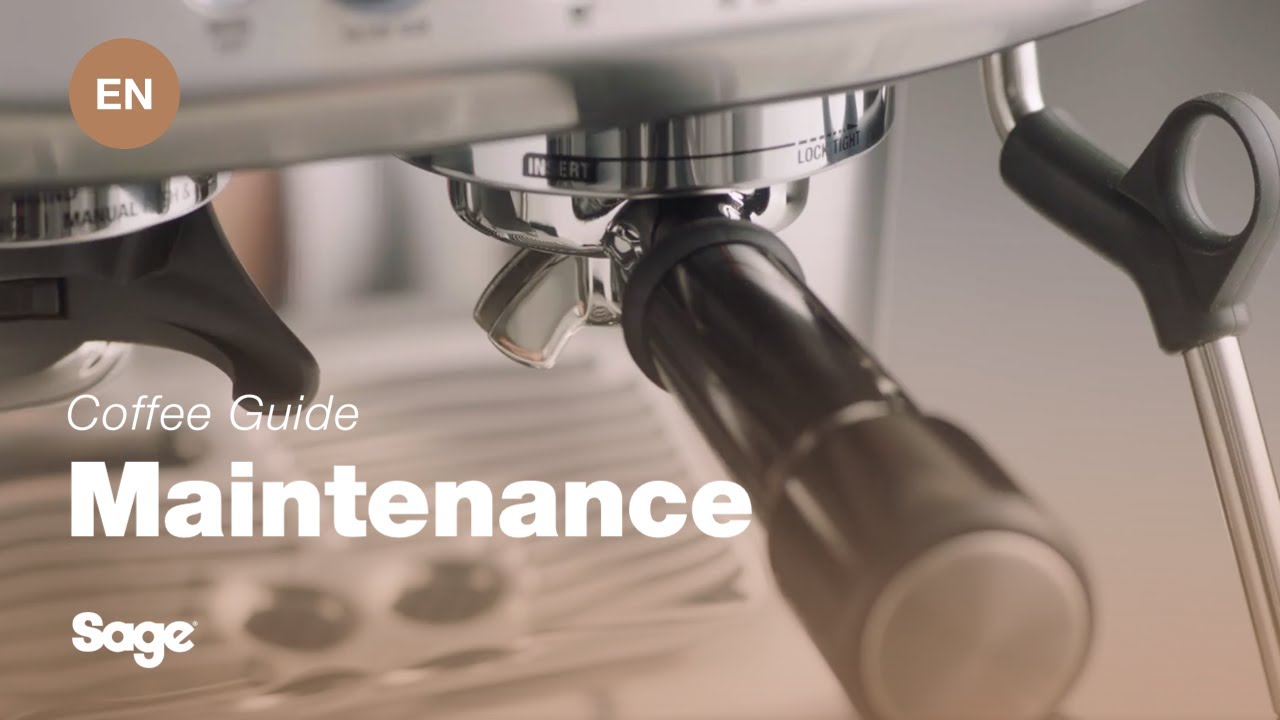 Så här utför du en rengöringscykel