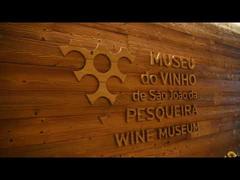 Museus de S. Jo&atilde;o da Pesqueira