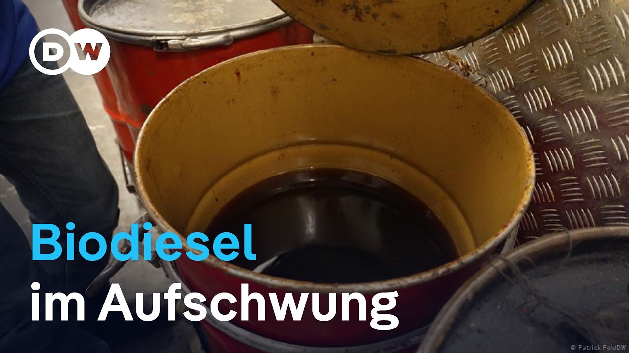 Singapur: Biodiesel-Boom zwischen Krise und Kosten