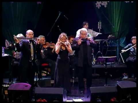 The Adler Trio - HarmoniCadence part 1 - Roots