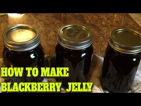 BLACKBERRY JELLY - STEP BY STEP - EASY…DELICIOUS RECIPE