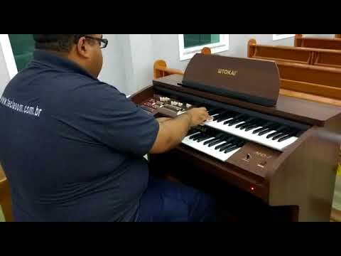 Órgão Eletrônico Tokai MD-7 - Loja Teclasom