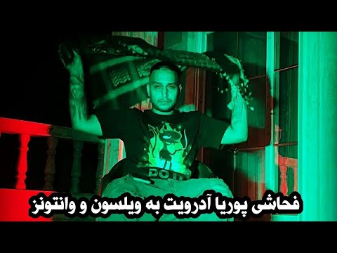 فحاشی پوریا آدرویت به گروه وانتونز و سامان ویلسون