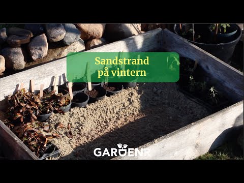 Sandstrand på vintern - Trädgårdshacks med GardenR
