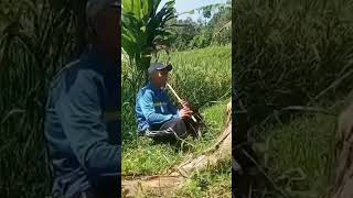 Download lagu Adem banget suling Sunda merdu mp3 Download lagu Adem banget suling Sunda merdu mp3