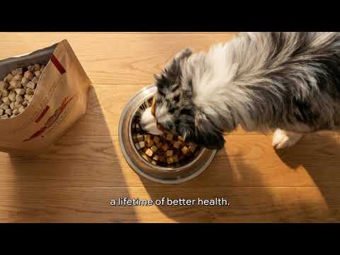 Freeze-Dried Raw Food | For Dogs & Cats: Real Nutrition, Made Simple