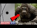 BIGFOOT SAW BLADE UFO THING S JUST GOT VERY STRANGE WACTH NOW