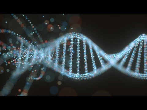 25- 144 pastratori ai cheilor de acces la codurile de activare ADN- Elena Tomozei Hipnoza Regresiva