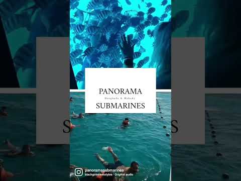 Snorkeling ☆ Panoramic Windows Submarines ☆ Sea Trip ☆ 2 hours ☆ 3 hrs☆ Hurghada ☆ Makadi ☆ BOOK NOW