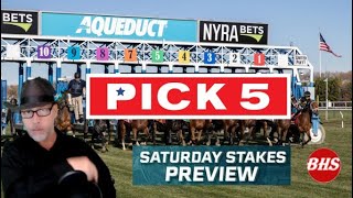 Aqueduct Pick 5 | Full Card Analysis & Top Value Plays