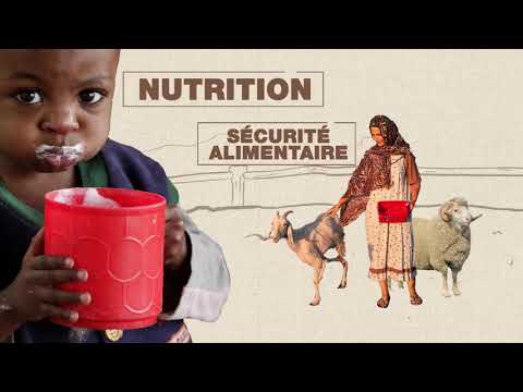 Programme mondial pour le contrôle et l'éradication de la Peste des petits ruminants