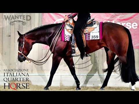 AIQH 2023 - Summer Western Show - Sabato 13 Maggio 2023 (Part 1)