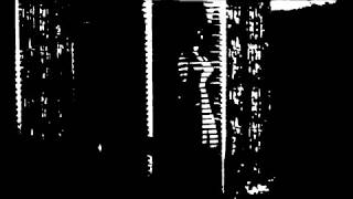 [458] Meat Shits - Feast of flesh