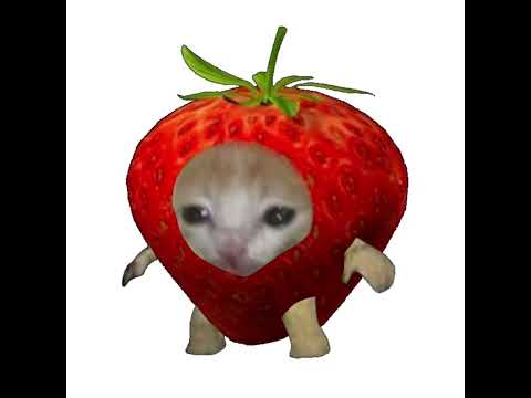 DJ LIL MAN - I like the way she move (ft. 40 cal) sped up