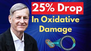 This Single Dietary Shift Cuts Cellular Damage By 25% thumbnail