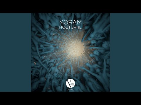 Nocturne (Modd Remix)