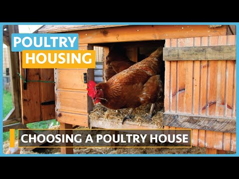 Poultry House Construction Lesson 1 Introduction