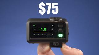 Download lagu You All Told Me And You Were Right mp3