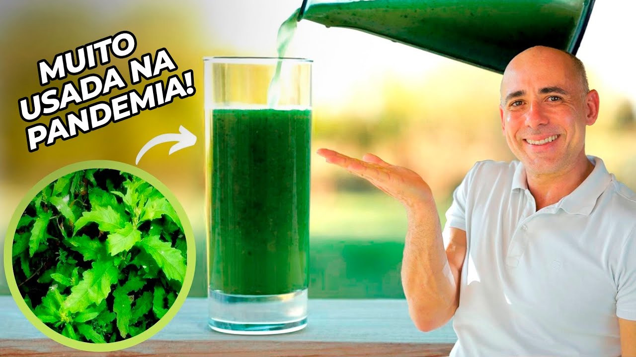 A PLANTA QUE DESINFLAMA SEU CORPO E MELHORA A IMUNIDADE | Dr Dayan Siebra