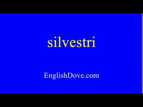 How to pronounce silvestri in American English.