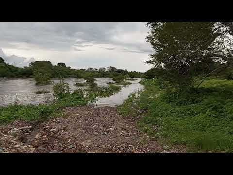 Rio Curu em São Luís do Curu, Ceará.Em 10/04/2024.grande cheia rumo ao mar.