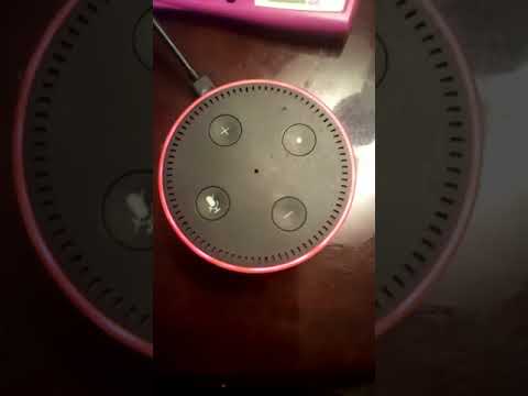 不気味な Alexa 機能: これにより、見知らぬ人が密かに「エコーをアクティブにしてユーザーを監視」することができます。