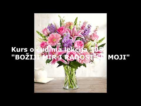 HRISTOVA UČENJA KURS O ČUDIMA LEKCIJA 105