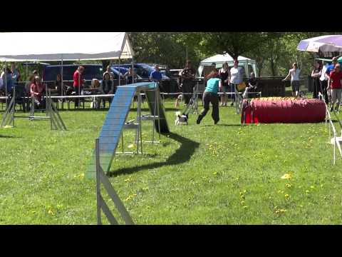 Stefanie Semkat mit Quick, A2-Small