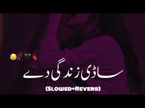 Sadi Zindagi De Do Hin Shoq Slowed Reverb | New Saraiki Song | Pak Studio Room