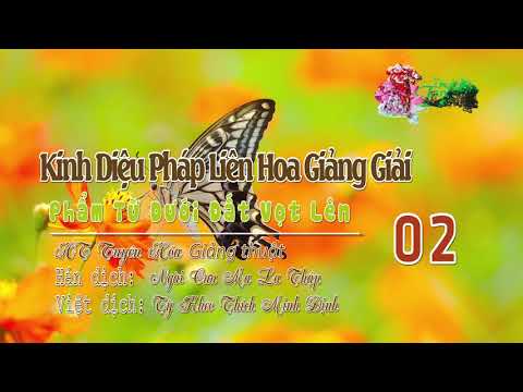 Phẩm Từ Dưới Đất Vọt Lên Thứ Mười Lăm 2/3