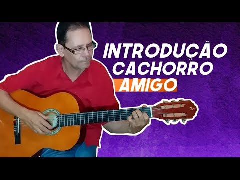 Cachorro Amigo - Iridio e Irineu