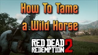Red Dead Redemption 2 -   How To Tame a Wild Horse