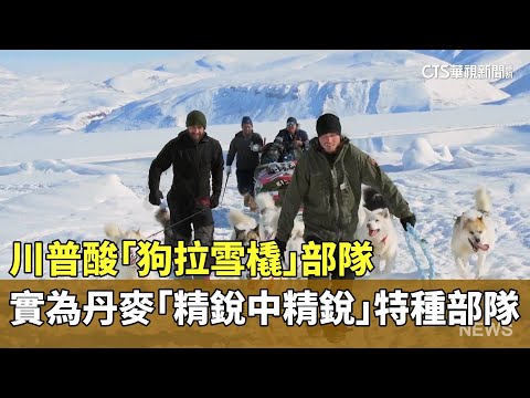 川普酸「狗拉雪橇」部隊　實為丹麥「精銳中精銳」特種部隊
