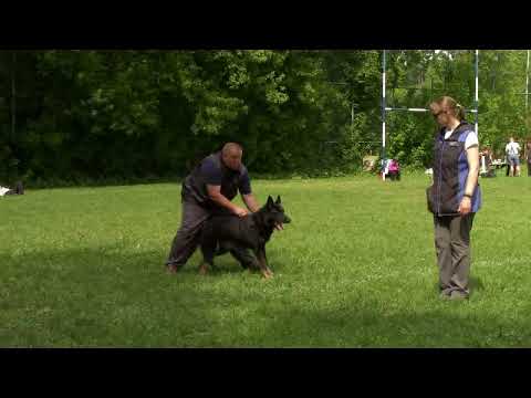 Qit z Klídkova dvora - 2 years