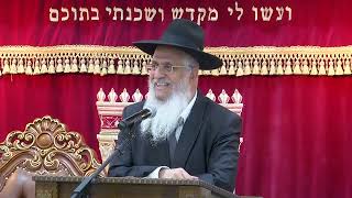 050ביאור הוידוי ונפילת אפיים (הרב יורם סרי) - התמונה מוצגת ישירות מתוך אתר האינטרנט יוטיוב. זכויות היוצרים בתמונה שייכות ליוצרה. קישור קרדיט למקור התוכן נמצא בתוך דף הסרטון