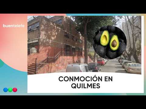 CAYÓ una PALTA de un árbol y MATÓ A  UN BEBÉ de 12 días #BuenTelefe