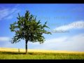 Claude kelly - Crash (lyrics) 