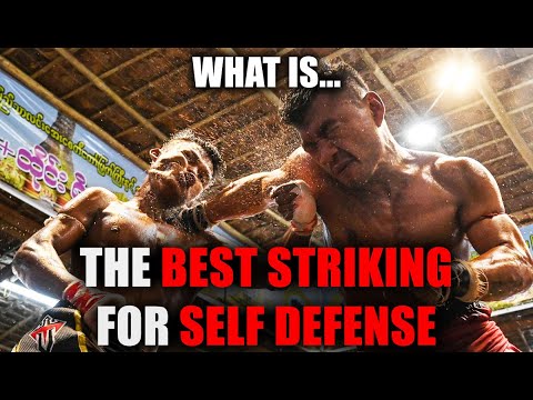 Which striking Martial Art is best for Self Defense?!!! - Tier List with special guest DantheWolfman